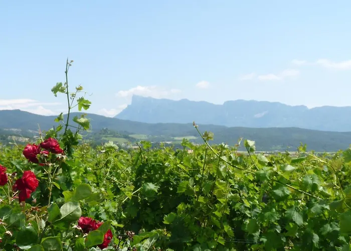 Bed and breakfast La Bouillarde 3*